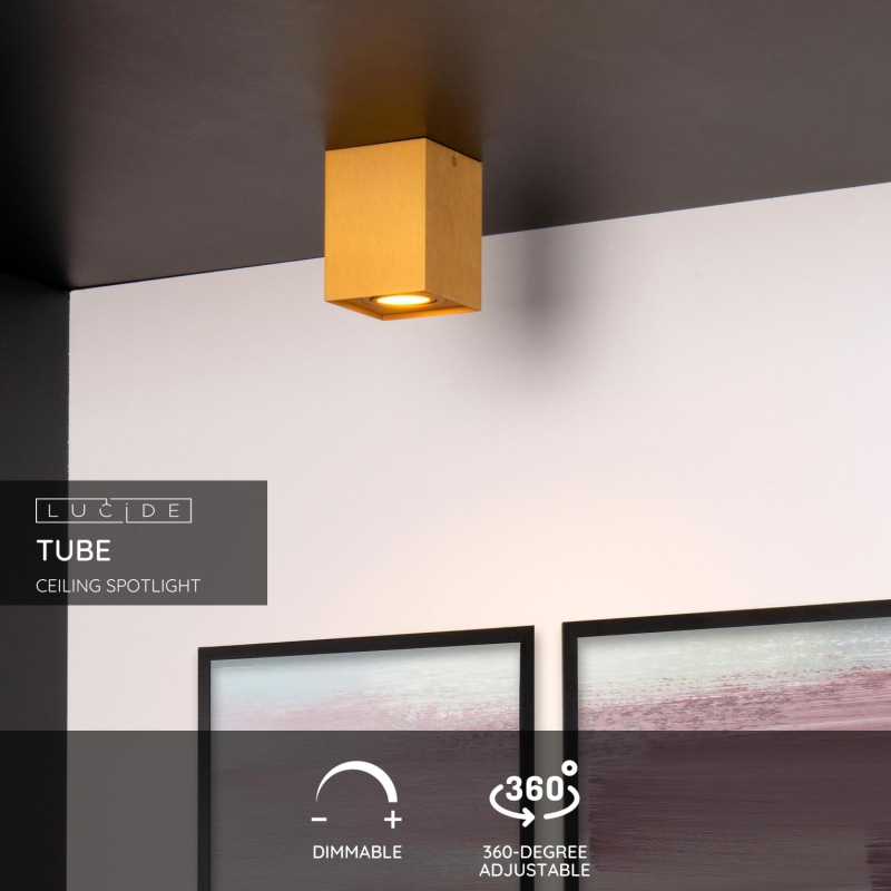 Lucide TUBE - Stropné bodové svietidlo - 1xGU10 - Matt Gold / Mosadz